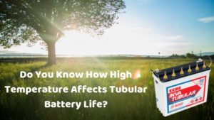 affects tubular batteries